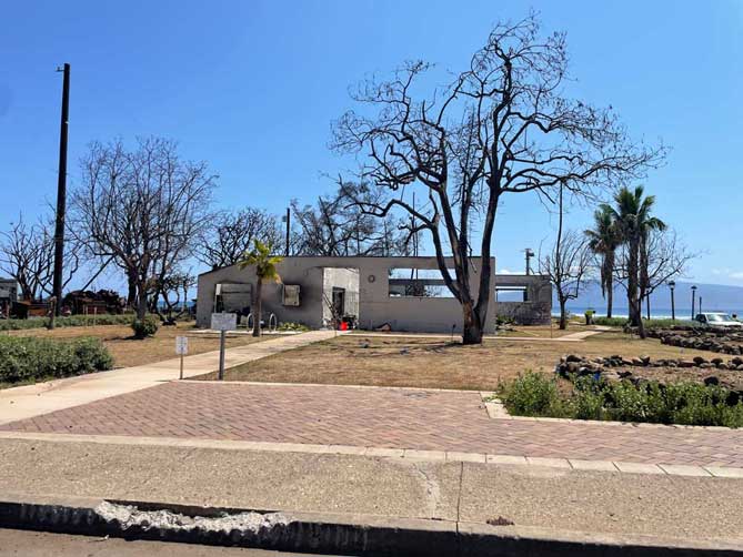 Lahaina Library as of June 8/24